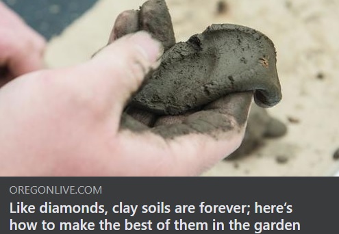 Hand with Soil