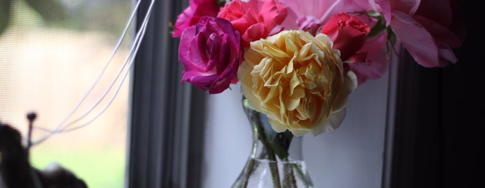 Flowers in Window