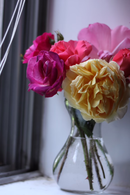 Flowers in Window